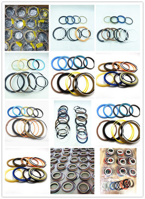 DH HD Hitachi Carterpillar Sumitomo Kato Kobelco Sany Excavator Boom Seal Kit Kháng mòn
